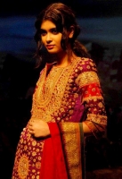 Diana Penty in traditional dress picture Diana Penty in traditional dress picture