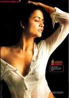 Wet Amrita Arora Cleavgae Picture Wet Amrita Arora Cleavgae Picture